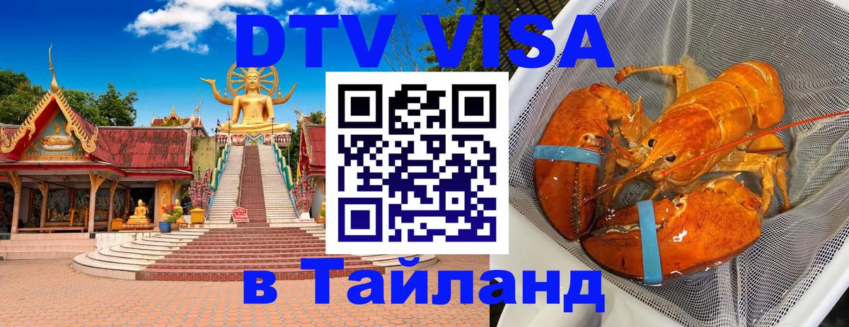 DTV Visa Thailand — прайс и условия, виза без дополнительных документов - Дамаск 